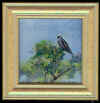 councell osprey perch.jpg (308155 bytes)