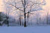 volkov winter sunrise.jpg (497764 bytes)
